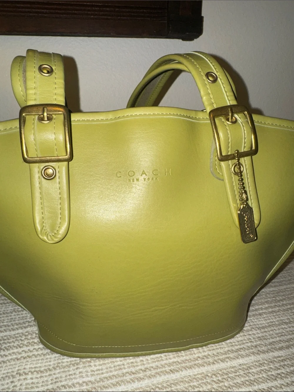 Coach this bag